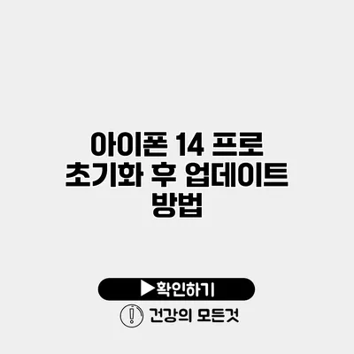 아이폰 14 프로 초기화 후 업데이트 방법