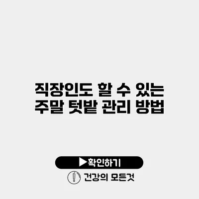 직장인도 할 수 있는 주말 텃밭 관리 방법