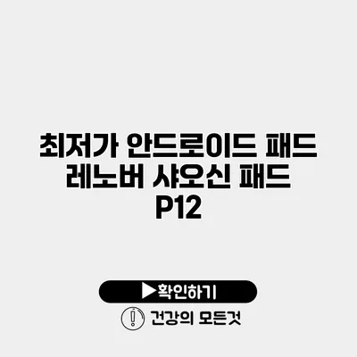 최저가 안드로이드 패드 레노버 샤오신 패드 P12