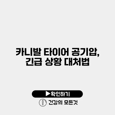 카니발 타이어 공기압, 긴급 상황 대처법