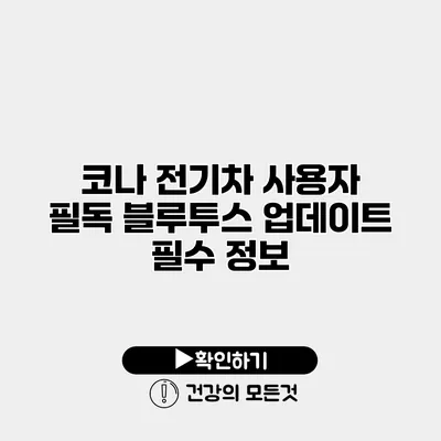 코나 전기차 사용자 필독 블루투스 업데이트 필수 정보