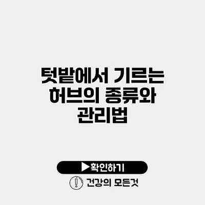 텃밭에서 기르는 허브의 종류와 관리법