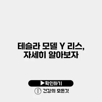 테슬라 모델 Y 리스, 자세히 알아보자